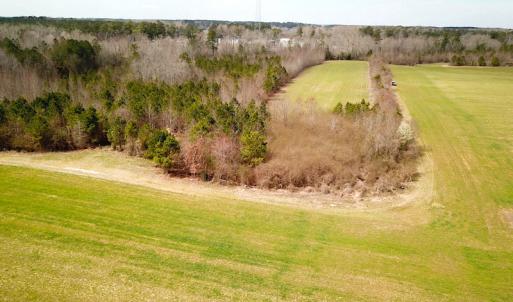 Photo #28 of SOLD property in 7245 General Mahone Hwy, Waverly, VA 62.0 acres