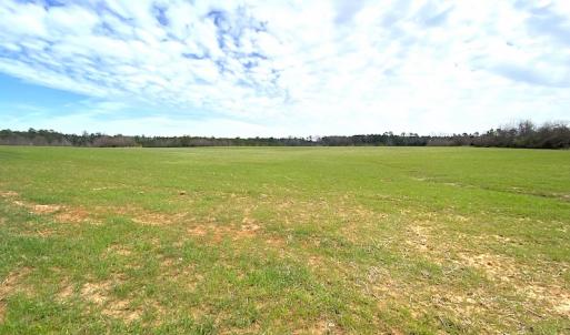 Photo #32 of SOLD property in 7245 General Mahone Hwy, Waverly, VA 62.0 acres