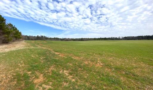 Photo #33 of SOLD property in 7245 General Mahone Hwy, Waverly, VA 62.0 acres