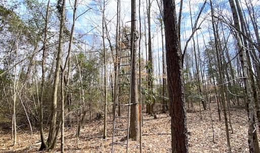 Photo #38 of SOLD property in 7245 General Mahone Hwy, Waverly, VA 62.0 acres