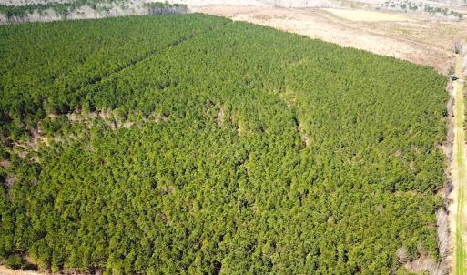Photo #3 of SOLD property in 723 Ahoskie-Cofield Road, Cofield, NC 104.5 acres