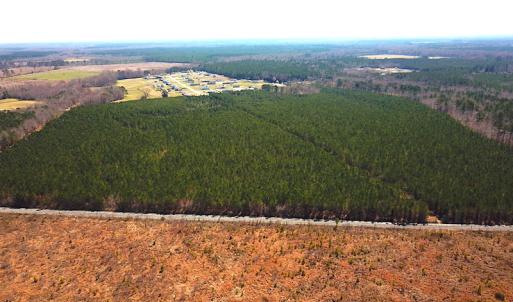 Photo #6 of SOLD property in 723 Ahoskie-Cofield Road, Cofield, NC 104.5 acres