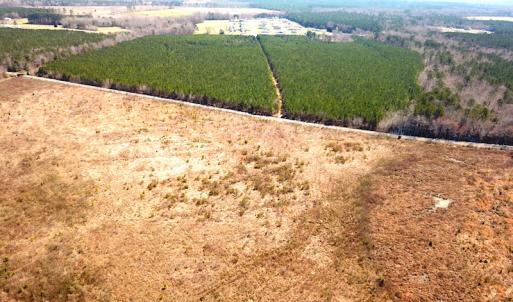 Photo #7 of SOLD property in 723 Ahoskie-Cofield Road, Cofield, NC 104.5 acres