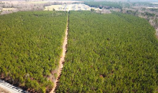 Photo #9 of SOLD property in 723 Ahoskie-Cofield Road, Cofield, NC 104.5 acres