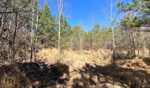 Photo #15 of SOLD property in 723 Ahoskie-Cofield Road, Cofield, NC 104.5 acres