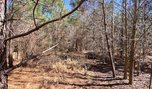 Photo #17 of SOLD property in 723 Ahoskie-Cofield Road, Cofield, NC 104.5 acres