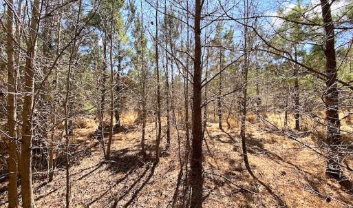 Photo #18 of SOLD property in 723 Ahoskie-Cofield Road, Cofield, NC 104.5 acres