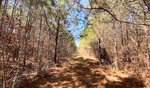 Photo #20 of SOLD property in 723 Ahoskie-Cofield Road, Cofield, NC 104.5 acres