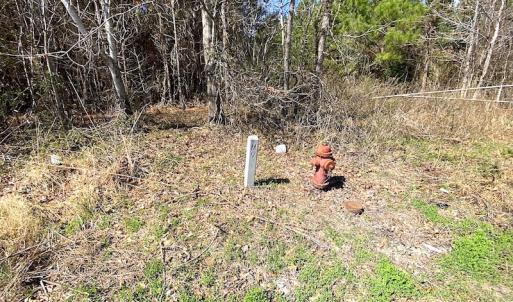 Photo #21 of SOLD property in 723 Ahoskie-Cofield Road, Cofield, NC 104.5 acres