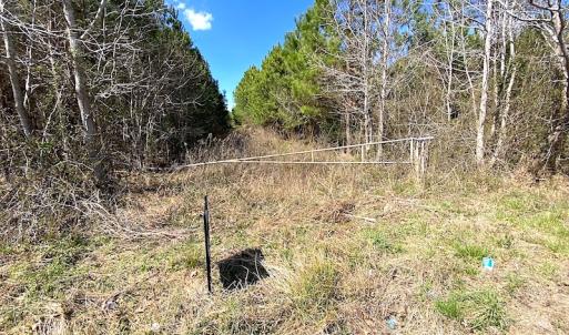 Photo #24 of SOLD property in 723 Ahoskie-Cofield Road, Cofield, NC 104.5 acres