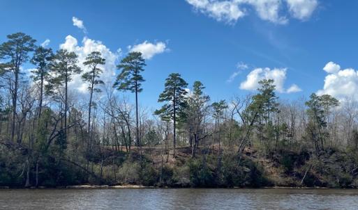 Photo #7 of SOLD property in 206 Riversedge Drive, Winton, NC 0.7 acres