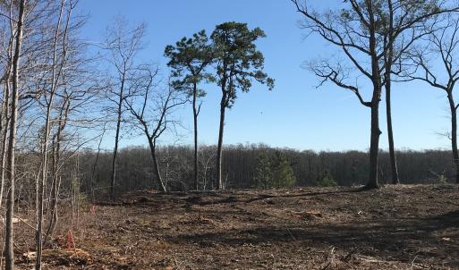 Photo #4 of SOLD property in 206 Riversedge Drive, Winton, NC 0.7 acres