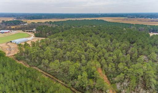 Photo #9 of SOLD property in Off Warren Taylor Road, Richlands, NC 2.1 acres