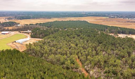 Photo #10 of SOLD property in Off Warren Taylor Road, Richlands, NC 2.1 acres
