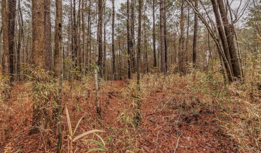 Photo #15 of SOLD property in Off Warren Taylor Road, Richlands, NC 2.1 acres