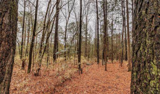 Photo #16 of SOLD property in Off Warren Taylor Road, Richlands, NC 2.1 acres