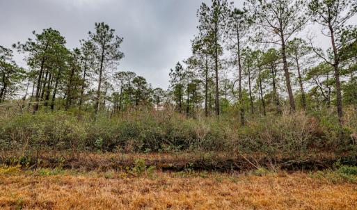 Photo #17 of SOLD property in Off Warren Taylor Road, Richlands, NC 2.1 acres