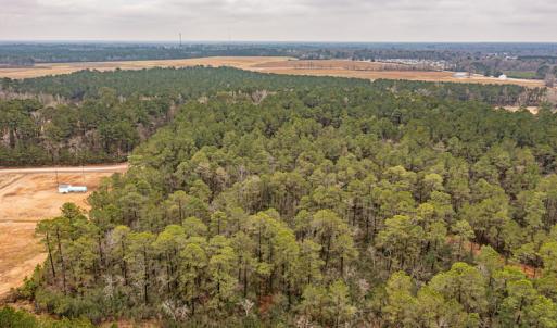 Photo #6 of SOLD property in Off Warren Taylor Road, Richlands, NC 2.1 acres