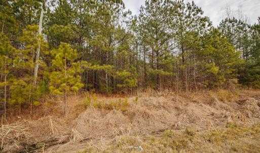 Photo #16 of SOLD property in Off Highway 258, Kinston, NC 2.7 acres