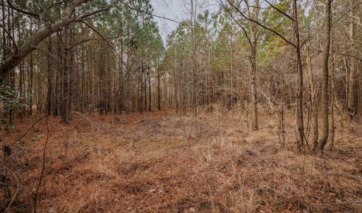 Photo #18 of SOLD property in Off Highway 258, Kinston, NC 2.7 acres