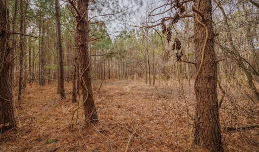 Photo #19 of SOLD property in Off Highway 258, Kinston, NC 2.7 acres