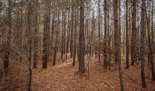 Photo #20 of SOLD property in Off Highway 258, Kinston, NC 2.7 acres