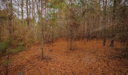 Photo #21 of SOLD property in Off Highway 258, Kinston, NC 2.7 acres