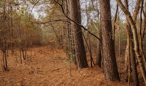 Photo #22 of SOLD property in Off Highway 258, Kinston, NC 2.7 acres