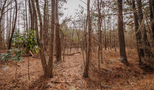 Photo #23 of SOLD property in Off Highway 258, Kinston, NC 2.7 acres