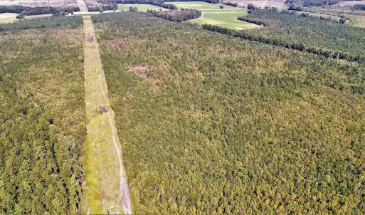 Photo #5 of Off Lloyd Corey Road, Stokes, NC 166.0 acres