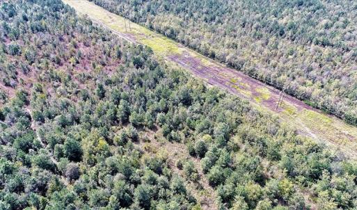 Photo #7 of Off Lloyd Corey Road, Stokes, NC 166.0 acres