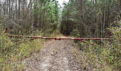 Photo #9 of Off Lloyd Corey Road, Stokes, NC 166.0 acres