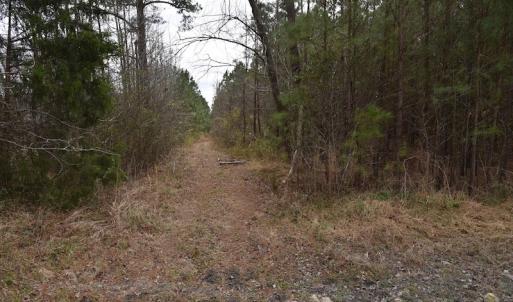 Photo #10 of Off Lloyd Corey Road, Stokes, NC 166.0 acres