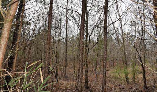 Photo #14 of Off Lloyd Corey Road, Stokes, NC 166.0 acres