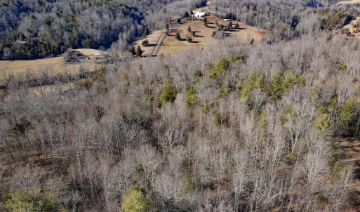 Photo #11 of SOLD property in Off Wagon Trail Road, Monroe, VA 9.2 acres