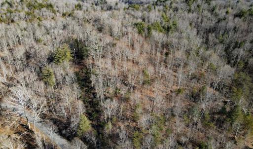 Photo #12 of SOLD property in Off Wagon Trail Road, Monroe, VA 9.2 acres