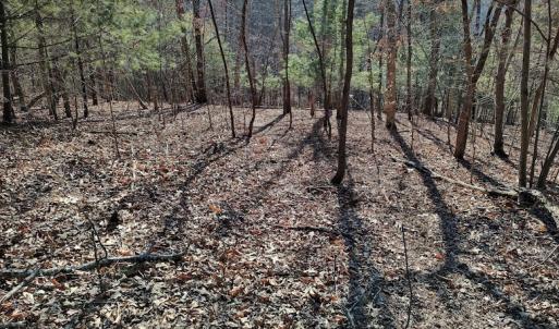 Photo #4 of SOLD property in Off Wagon Trail Road, Monroe, VA 9.2 acres
