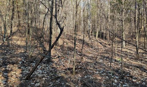 Photo #5 of SOLD property in Off Wagon Trail Road, Monroe, VA 9.2 acres