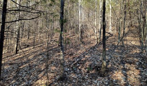 Photo #6 of SOLD property in Off Wagon Trail Road, Monroe, VA 9.2 acres