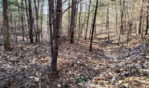 Photo #7 of SOLD property in Off Wagon Trail Road, Monroe, VA 9.2 acres