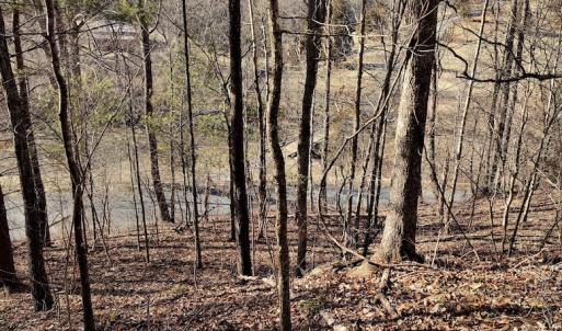 Photo #9 of SOLD property in Off Wagon Trail Road, Monroe, VA 9.2 acres
