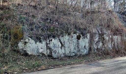 Photo #10 of SOLD property in Off Wagon Trail Road, Monroe, VA 9.2 acres