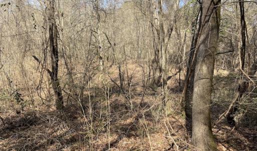 Photo #2 of Off Woodberry Drive, Grimesland, NC 12.4 acres