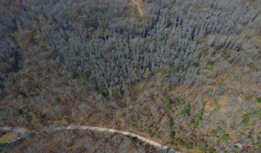 Photo #8 of Off Woodberry Drive, Grimesland, NC 12.4 acres