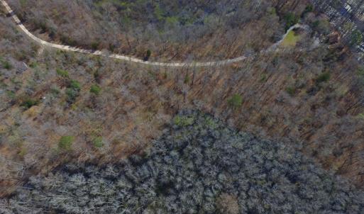 Photo #10 of Off Woodberry Drive, Grimesland, NC 12.4 acres
