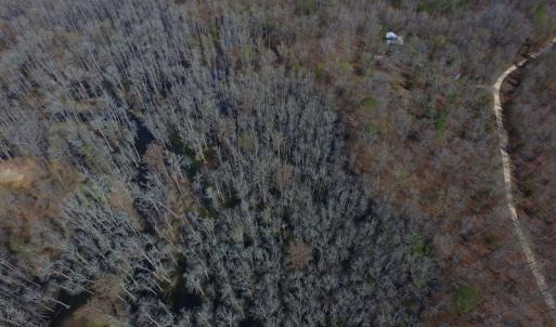 Photo #11 of Off Woodberry Drive, Grimesland, NC 12.4 acres