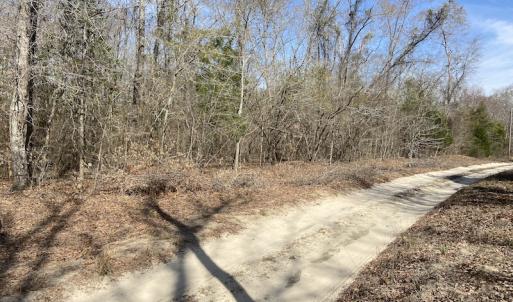 Photo #12 of Off Woodberry Drive, Grimesland, NC 12.4 acres