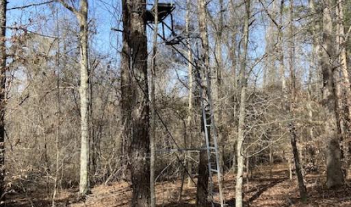 Photo #13 of Off Woodberry Drive, Grimesland, NC 12.4 acres