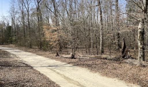 Photo #15 of Off Woodberry Drive, Grimesland, NC 12.4 acres