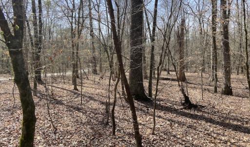 Photo #3 of Off Woodberry Drive, Grimesland, NC 12.4 acres